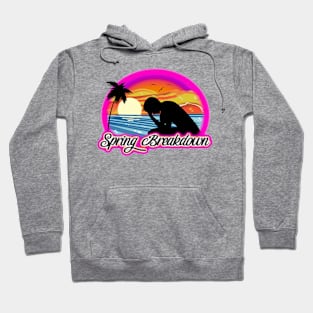 Spring Break down Hoodie